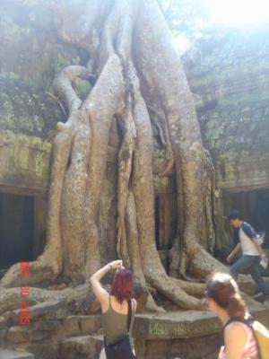 cambodia angkor temples023.JPG