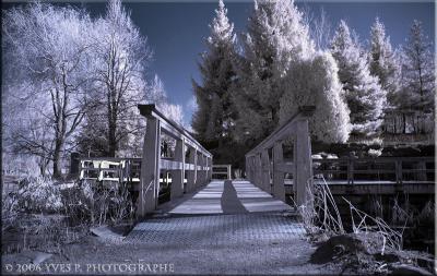 Entering the bridge ...