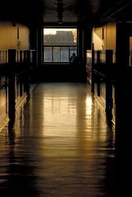 Lonely in the hall ...