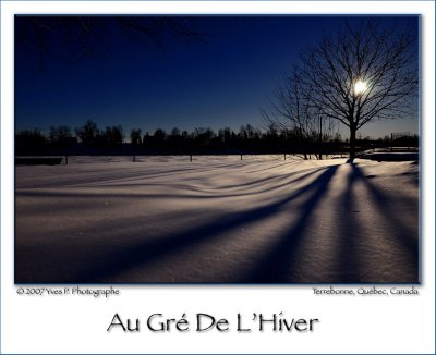Happy Winter Montrealers ...