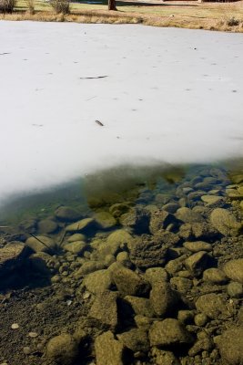 Frozen Pond