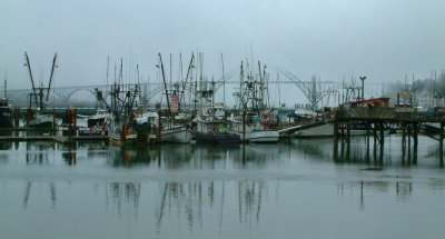 Newport Harbor2.jpg