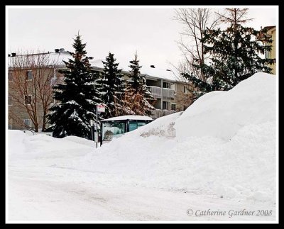 Hidden Bus Stop