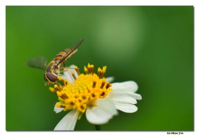 CRW_6644