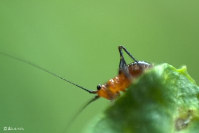 IMG_6557