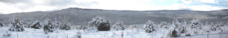snowy back yard.JPG