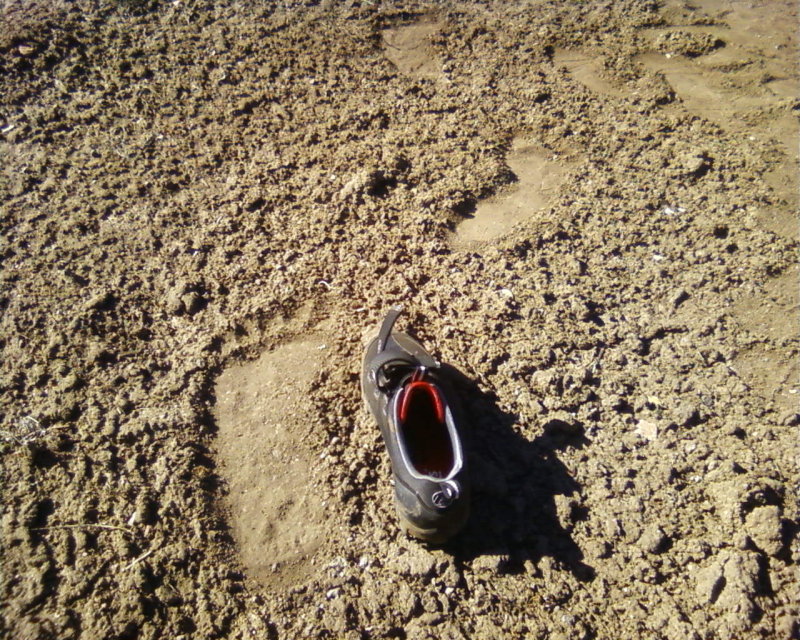 bigfoot3.jpg
