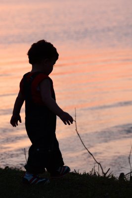 IMG_1584.jpg