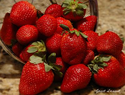 California StrawberriesMarch 1