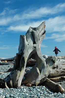 Beach walkMarch 11