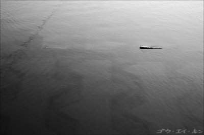 water13.jpg