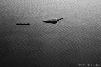 Tamagawa in Black and White