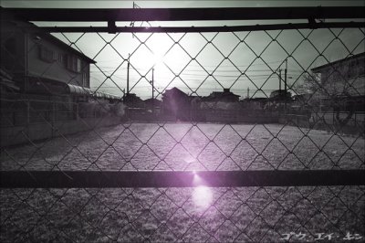 180308 field behind the fence