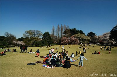 shinjuku_gyoen_03.jpg
