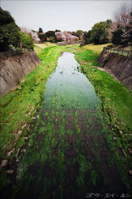 100408 river