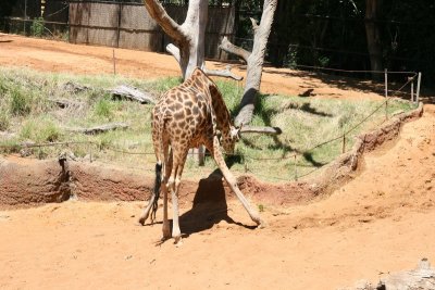 IMG_6907.JPG