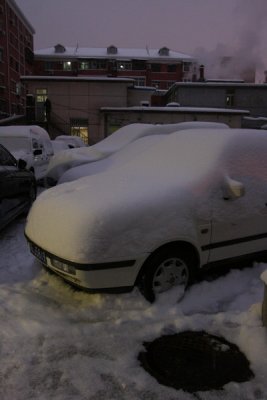 03.01.09 Snow day