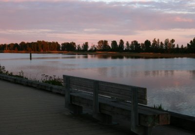 IMG_8173.JPG