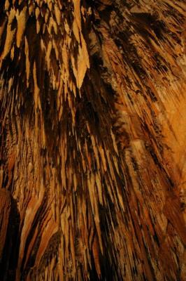 King Solomons Cave, Mole Creek Karst NP
