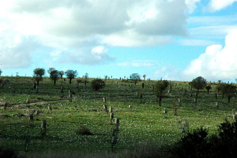 ramot menashe.jpg