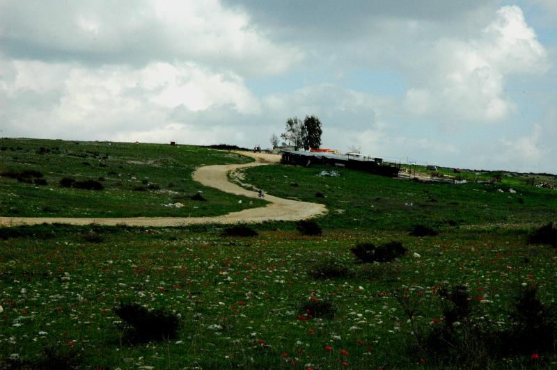 dsc_0158- ramot-menashe.jpg