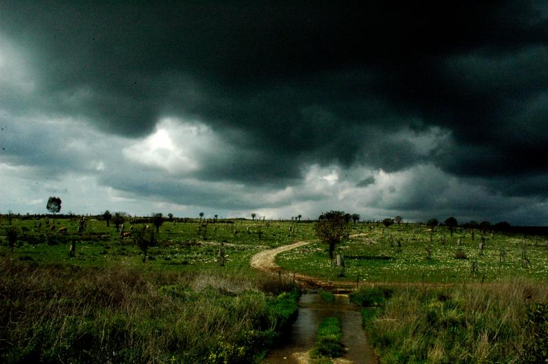 dsc_0203-ramot menashe.jpg