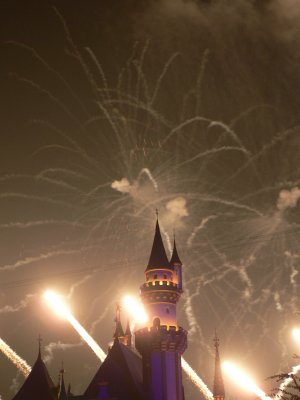 P1010390.JPG