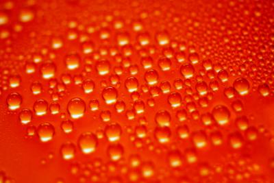 Orange Drops.jpg