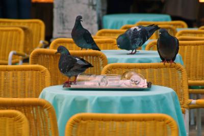 Venice Tables.jpg