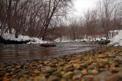 Crow River - January 12