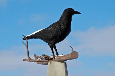 Worlds Largest Crow - January 20