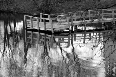 Mill Pond Fishing Pier  ~  April 21
