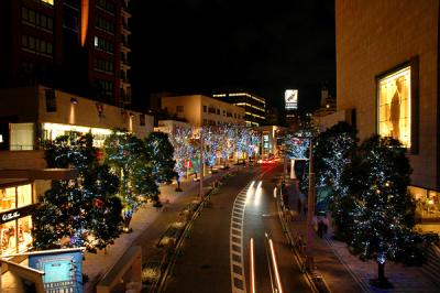 DSC_0047.JPG