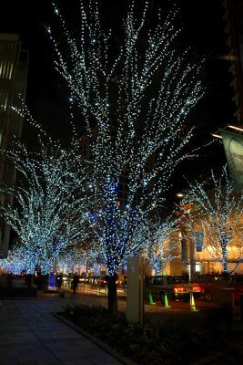 DSC_0056.JPG