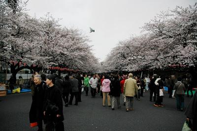 DSC_0026.JPG