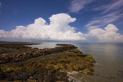 Darwin