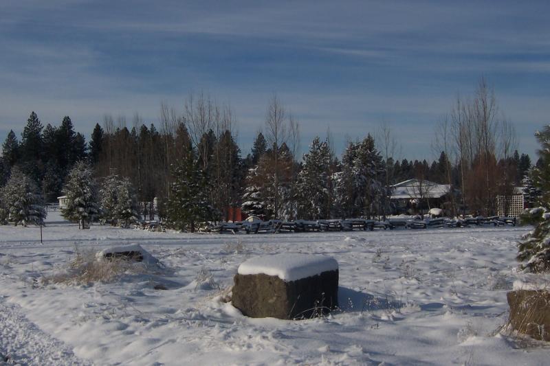 100_1769.jpg