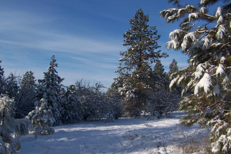 100_1787.jpg