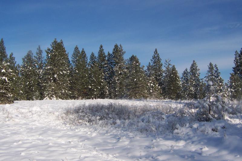 100_1790.jpg