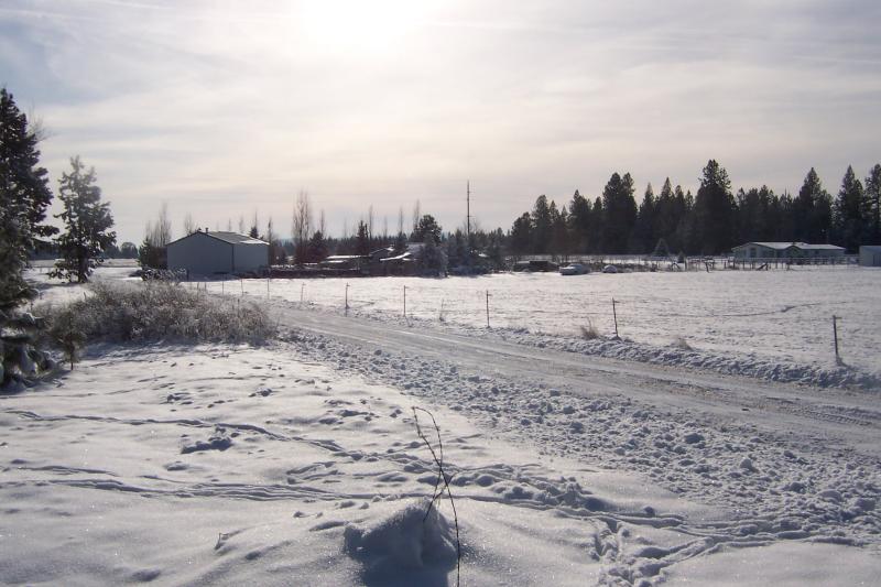 100_1799.jpg