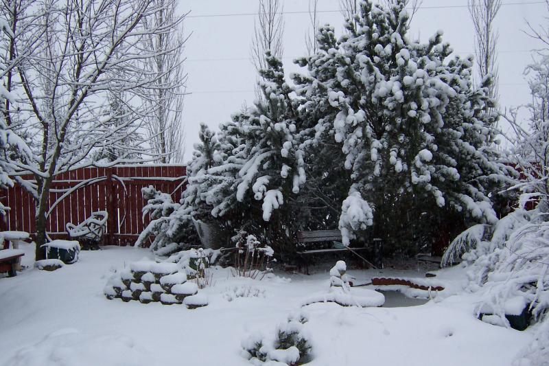 100_2095.jpg
