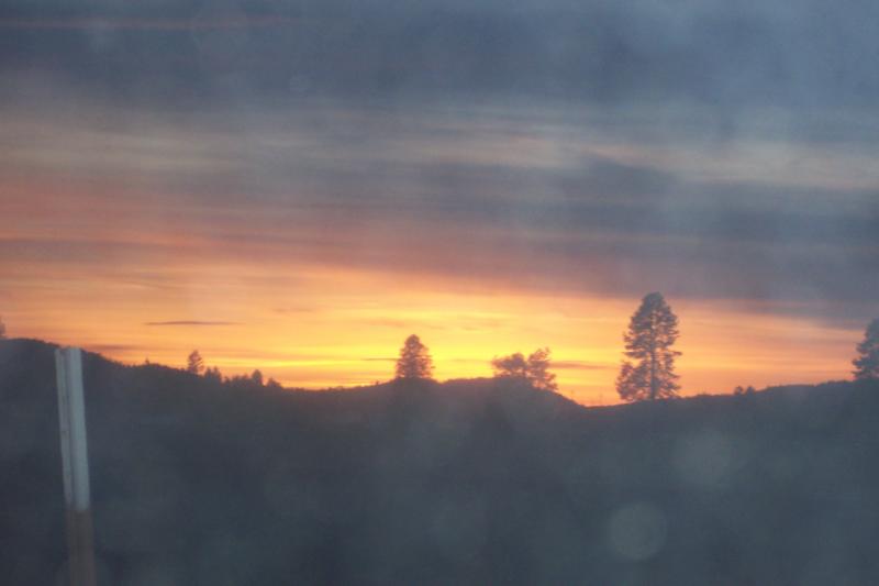 100_2231.jpg