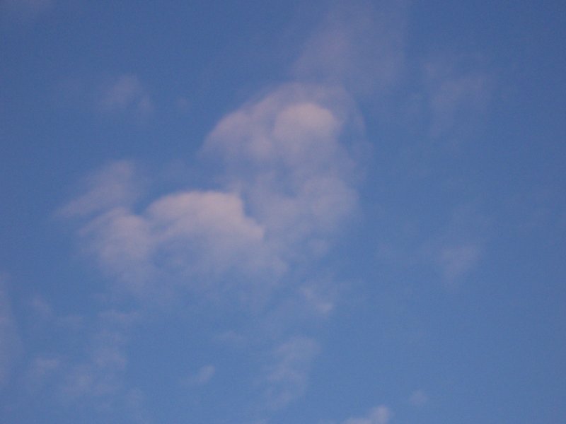 100_1350.jpg