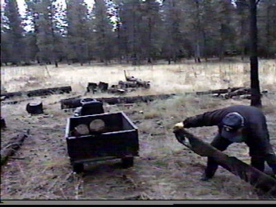 Dad picking up firewood at Kips.jpg