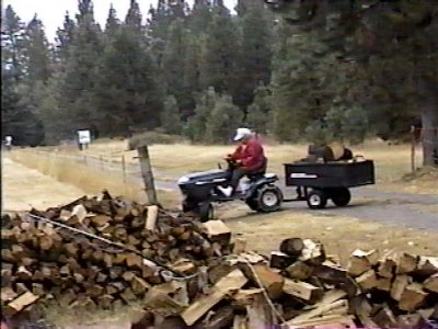 Opie taking logs to wood pile.jpg