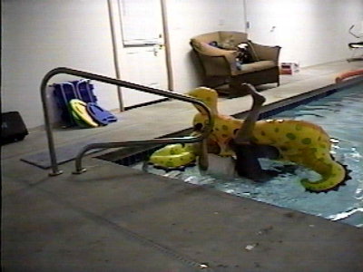 Opie having trouble mounting this dragon in Rons pool.jpg