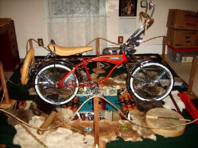 Samanthas bike in their living room.jpg