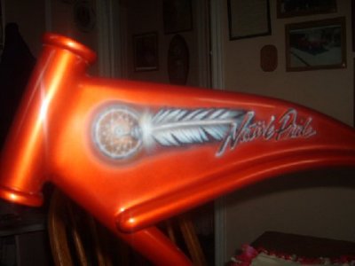 This is hand painted on the other side of Samanthas bike.jpg