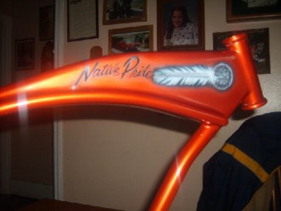 This was also hand painted on Samanthas Bike.jpg