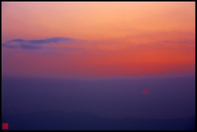 Darjeeling Dawn